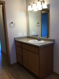 Building A bathroom vanity