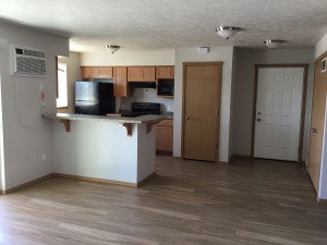 Building A kitchen in 2 bedroom apartment